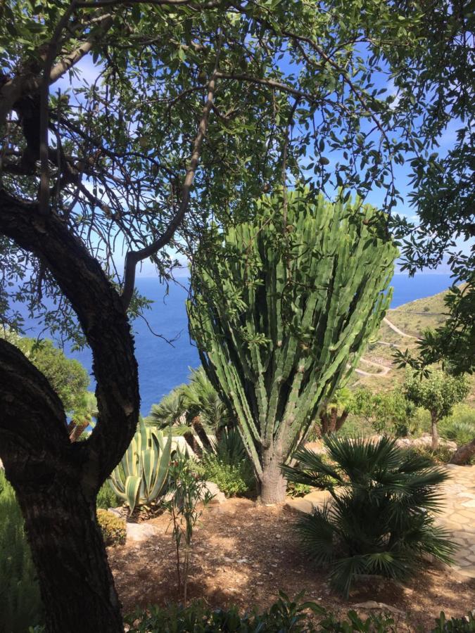 Baglio La Luna - B&B San Vito Lo Capo Eksteriør billede